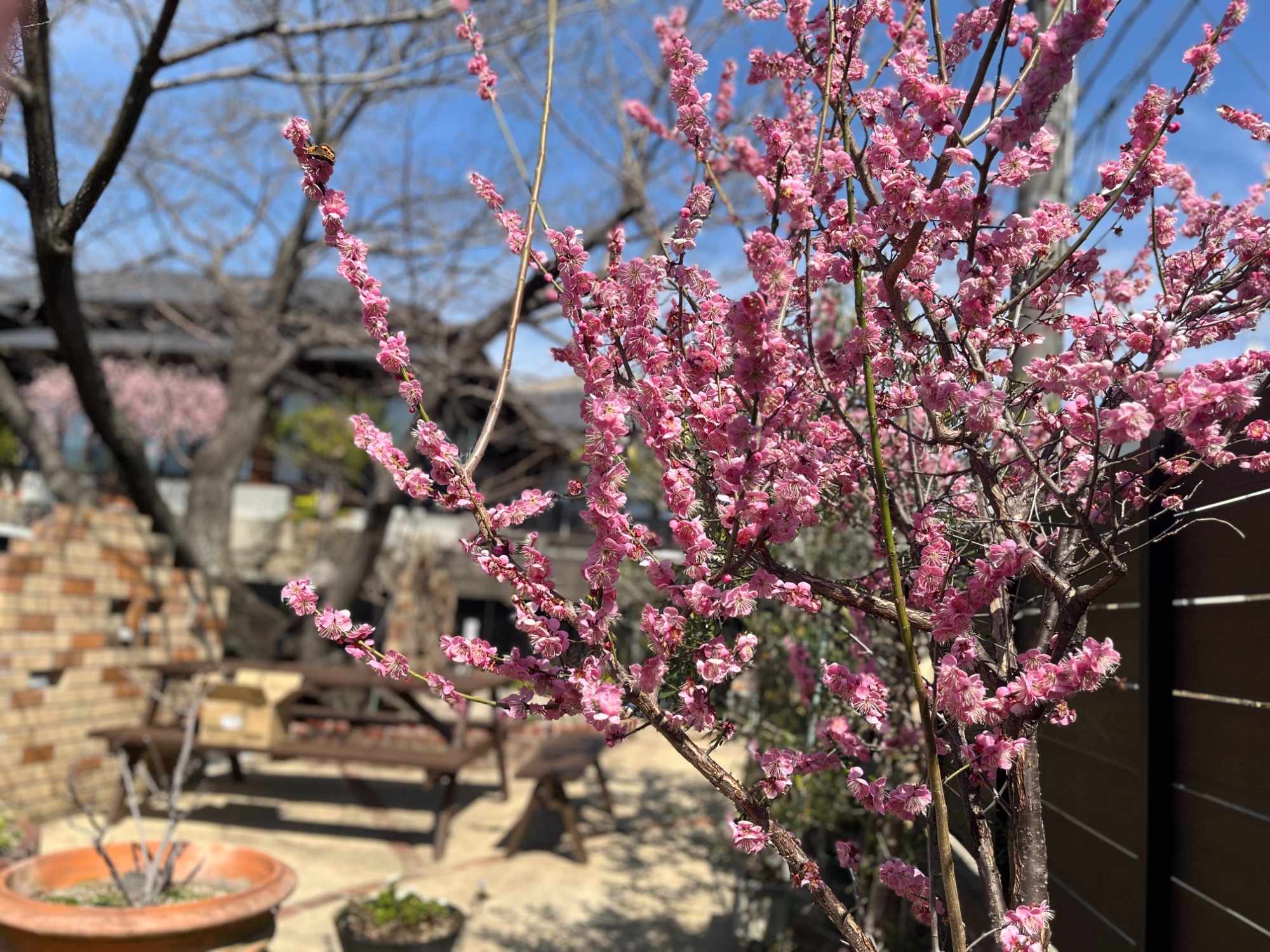 姫野内科医院,内科,消化器内科,循環器内科,広島県,呉市,東中央4丁目,B型肝炎,C型肝炎,肝臓病,健康診断,予防接種
