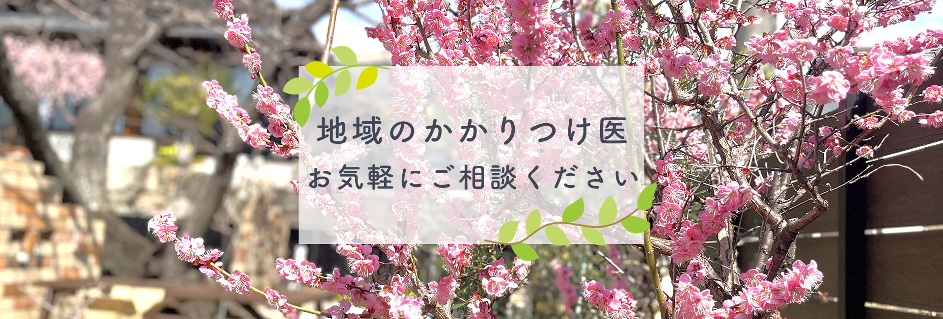 姫野内科医院,内科,消化器,循環器,広島県,呉市